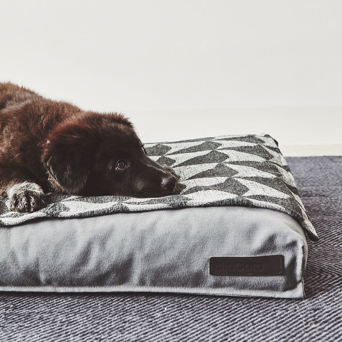 MiaCara Classic Modern Dog Cushion Slate Grey