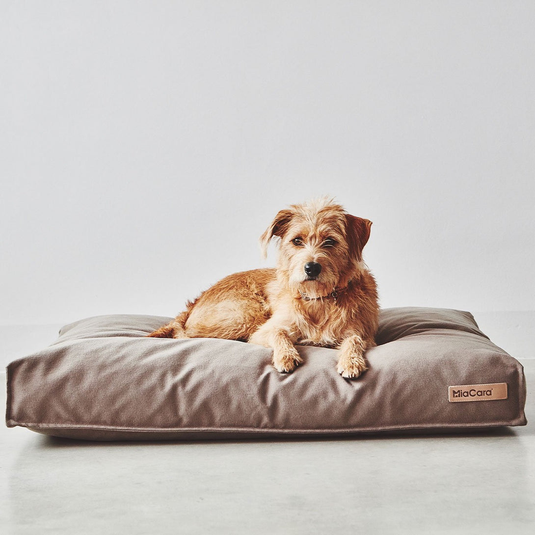 MiaCara Classic Taupe Aesthetic Dog Cushion