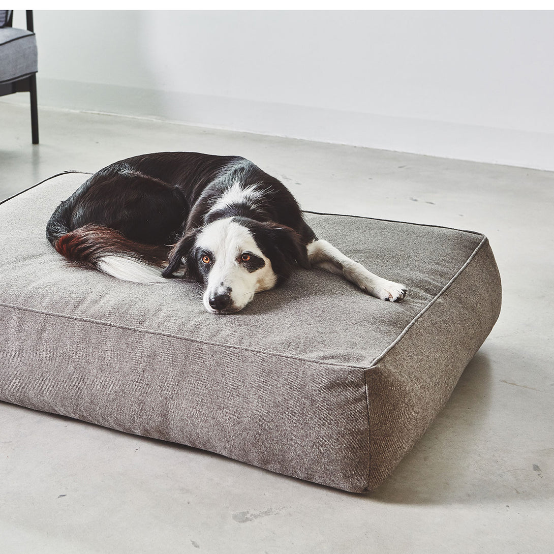 Luxury Mocca Dog Lounge Bed by MiaCara