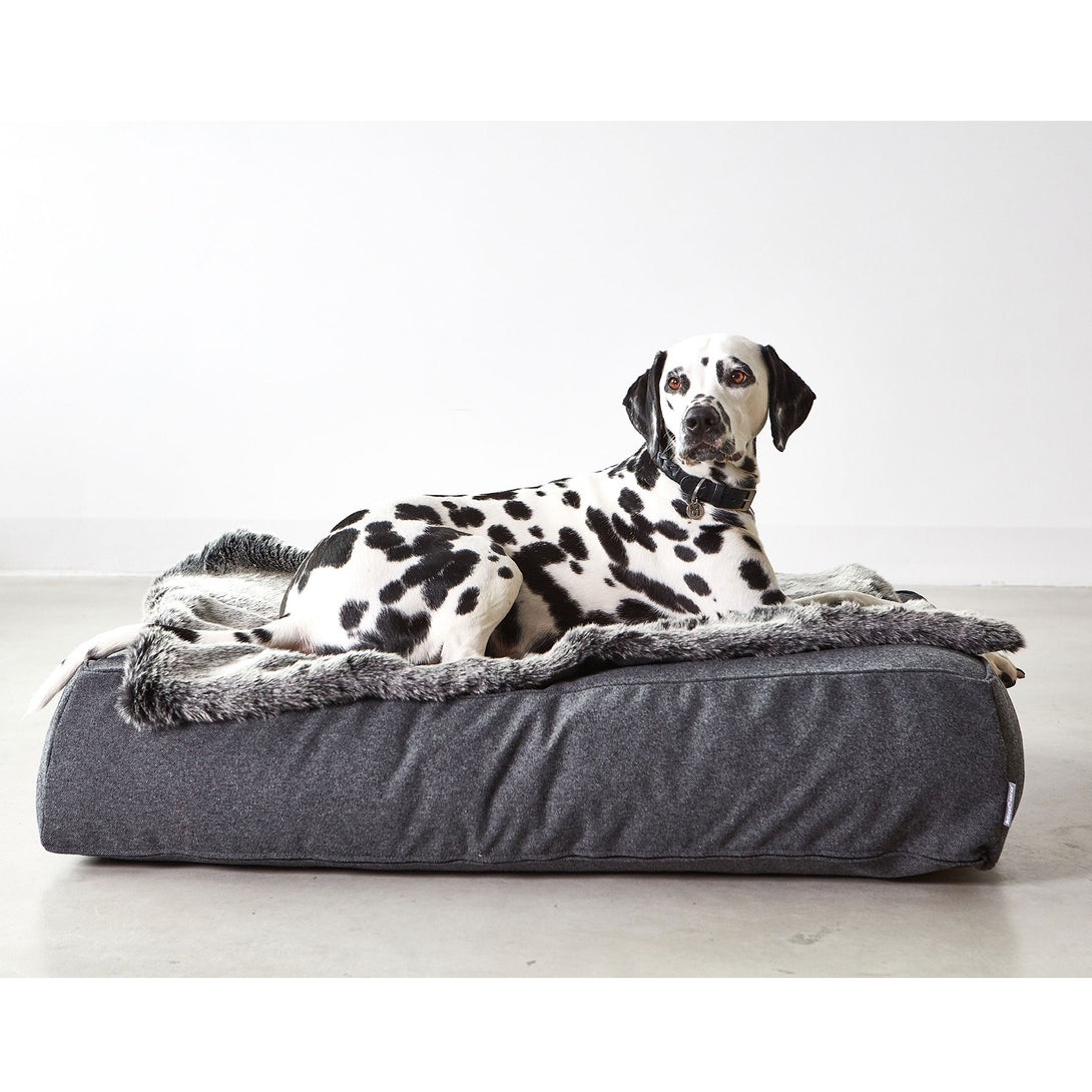 Luxury Comfortable Mottled Anthracite Dog Lounge Bed MiaCara Dalmatian
