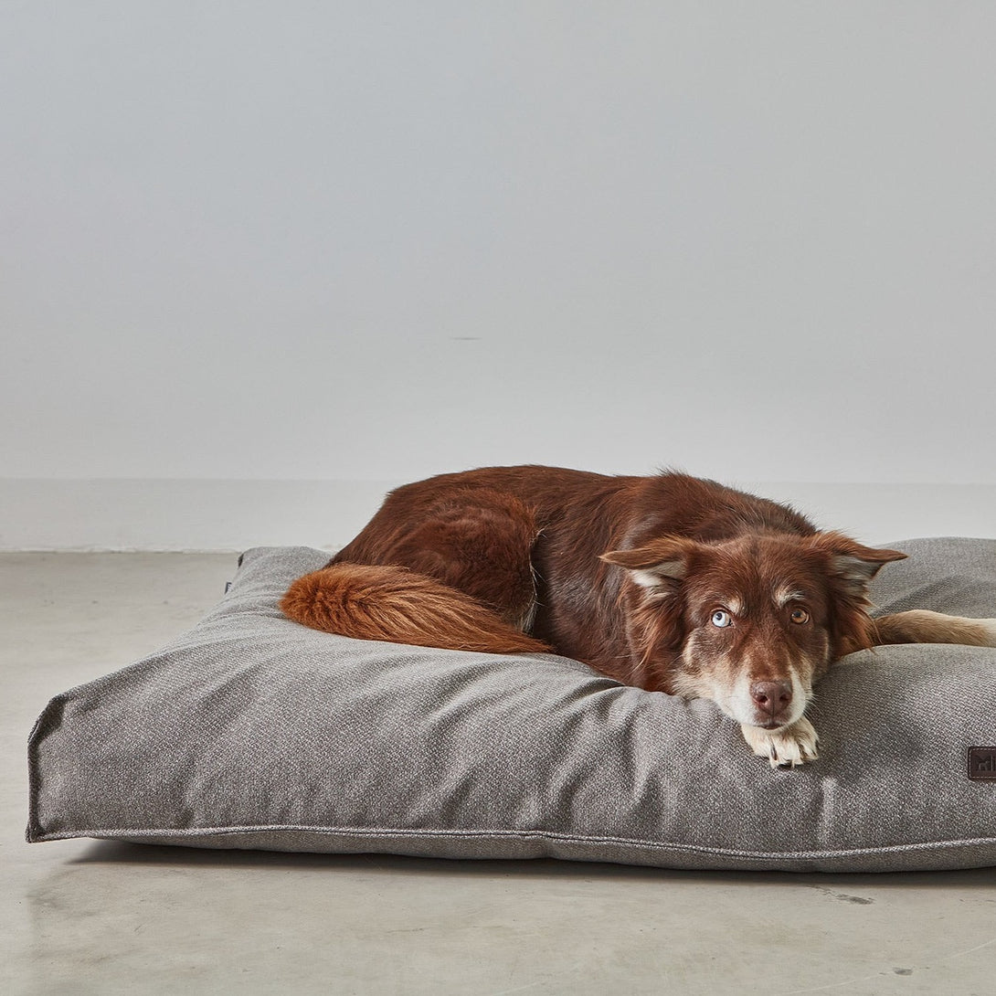 MiaCara Luce Designer Dog Cushion Grey Plush Snuggly cover