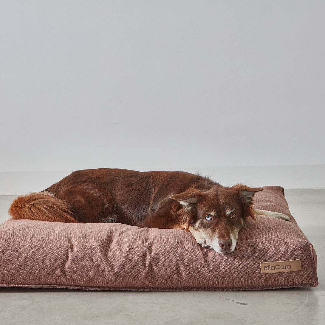 MiaCara Luce Designer Dog Cushion Brick Plush Snuggly cover