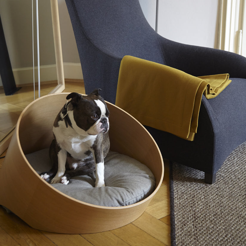 Modern designer wooden dog bed MiaCara Covo