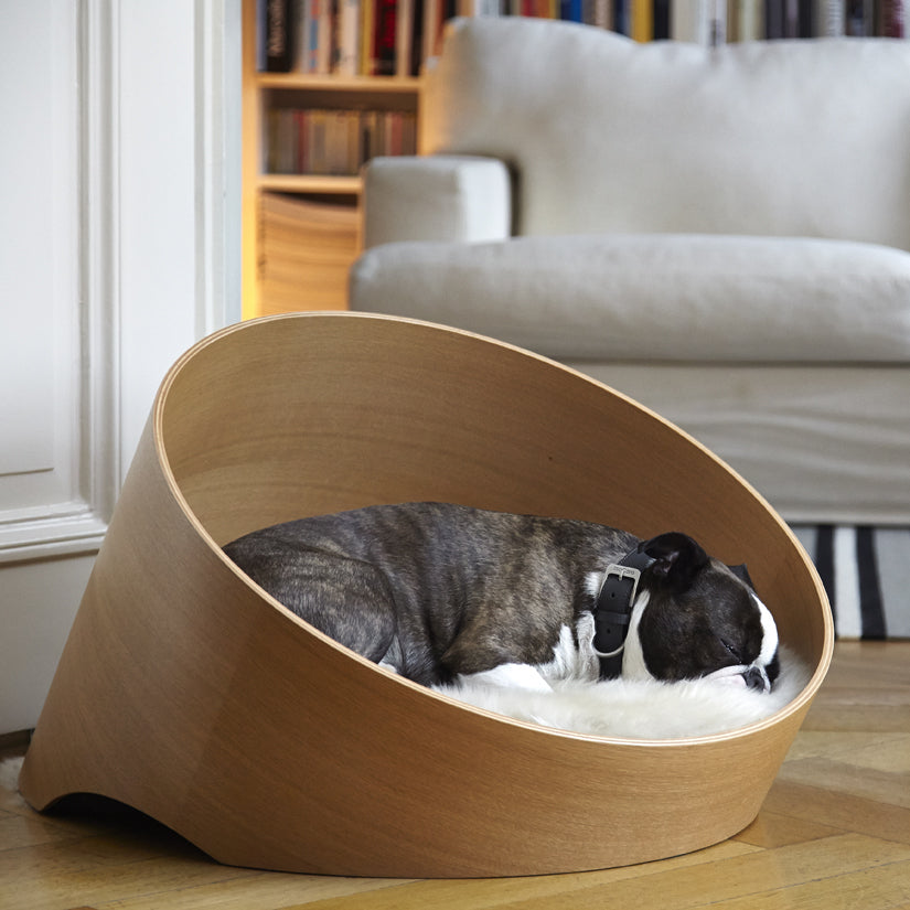 Designer dog bed for a modern home MiaCara Covo