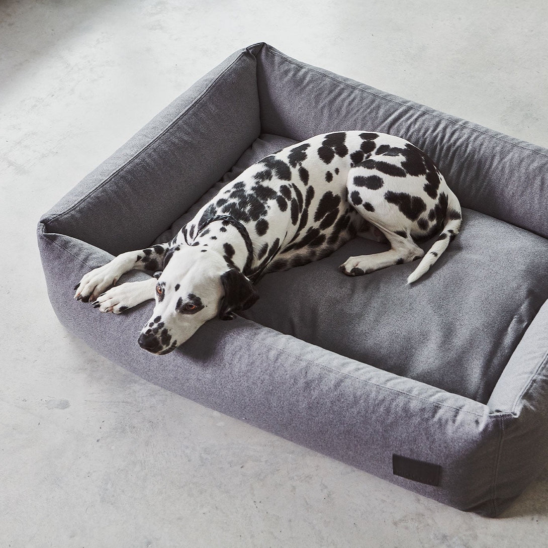 MiaCara Classic Box Dog Bed Divo Slate Grey