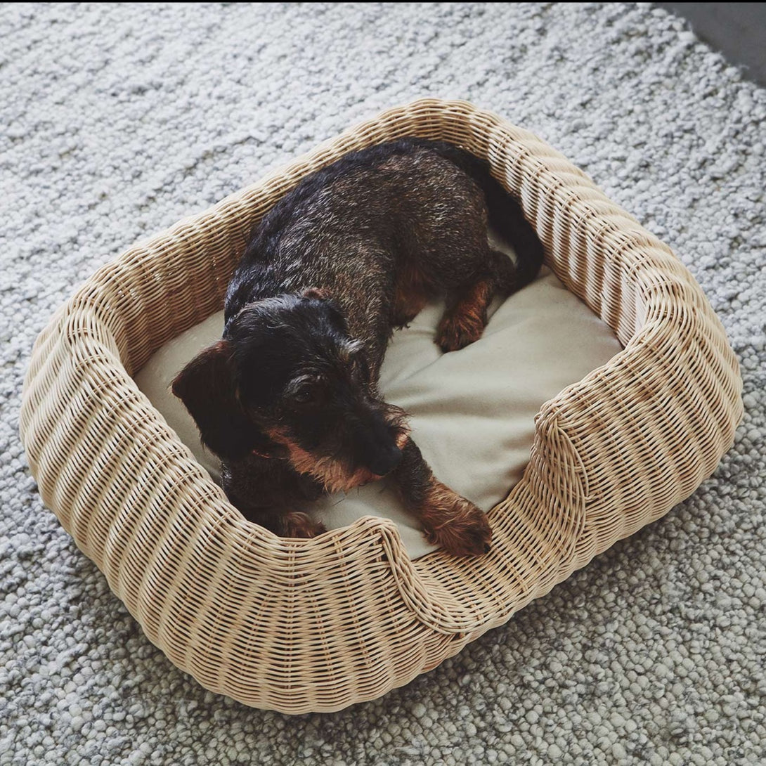 MiaCara Luxury Wicker Rattan Beige Dog Basket