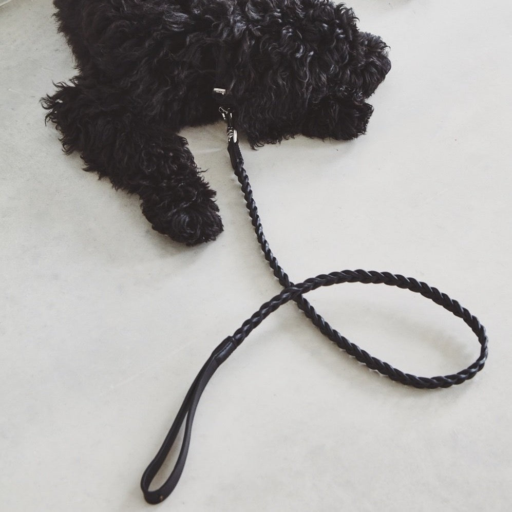 Black MiaCara Braided Leather Dog Collar and Leash