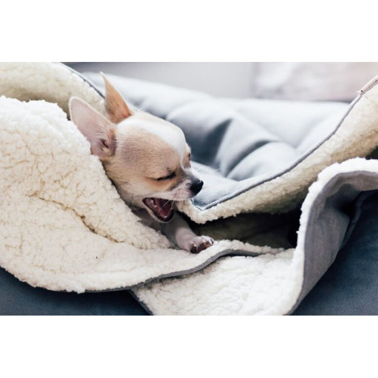 Elegant Luxury and comfortable aesthetic sleeping dog bag Bowl & Bone