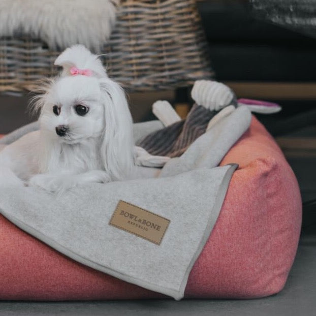 Bowl & Bone Stylish and comfortable coral pink dog bed LOFT
