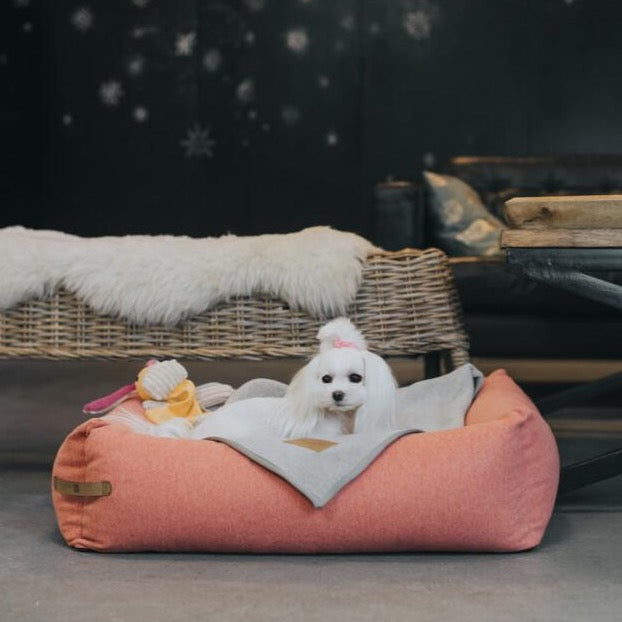 Stylish and comfortable coral pink dog bed LOFT Bowl & Bone