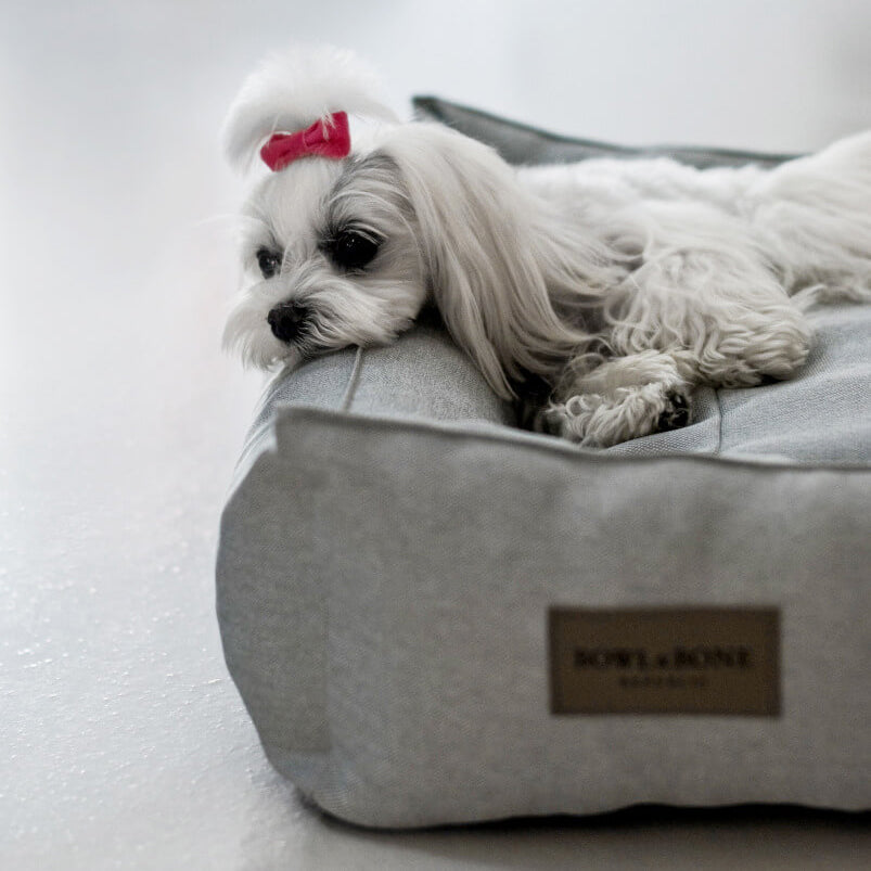 Grey Bowl & Bone Comfortable Minimalist Square Dog Bed URBAN