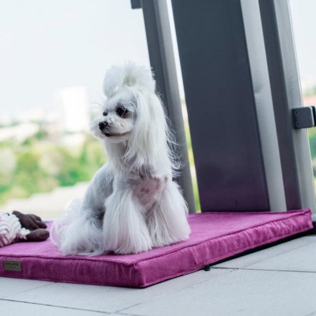 Modern Elegant Dog Mat Bowl & Bone Pink
