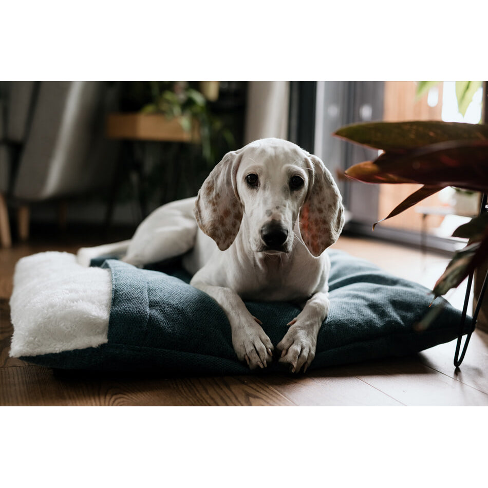 Cosy and comfortable dog sleeping bag bed Bowl & Bone ocean blue Europe