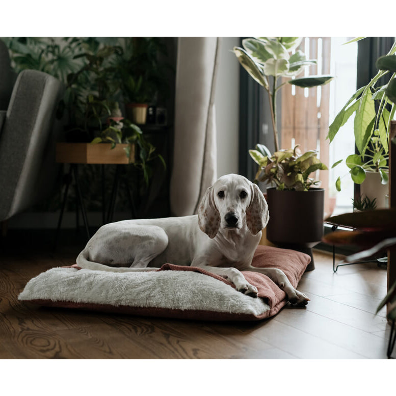 Comfortable and cosy dog sleeping bag bed Europe Bowl & Bone Pink