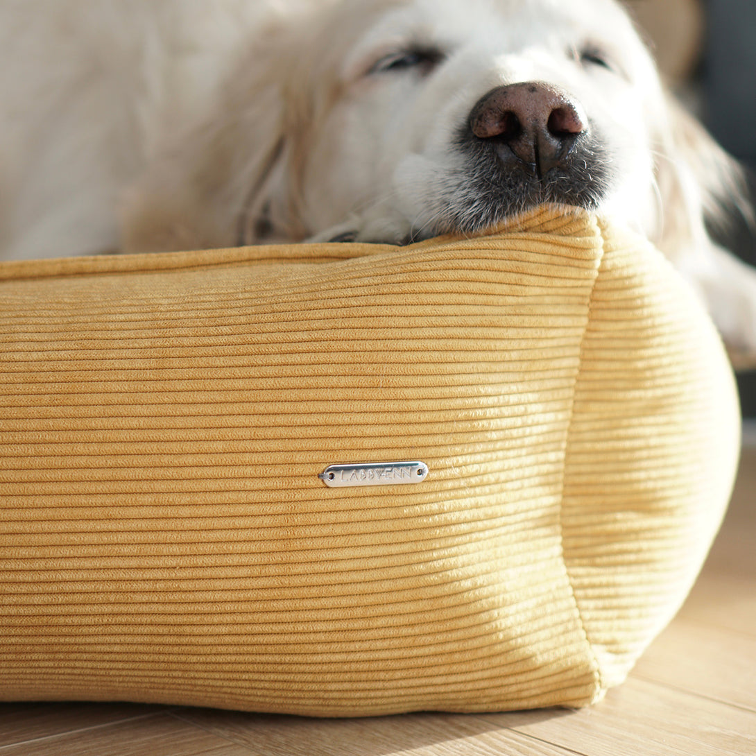 Designer Corduroy Dog Bed Yellow Honey Labbvenn 