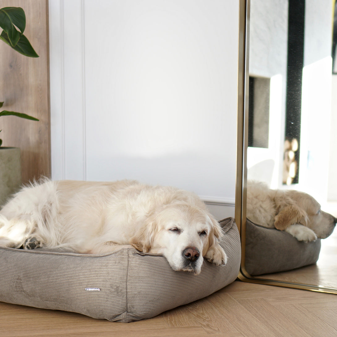 Luxury Corduroy Dog Bed Mocca Beige Labbvenn