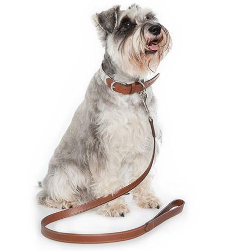 Classic Leather Dog Leash Mutts & Hounds Brown